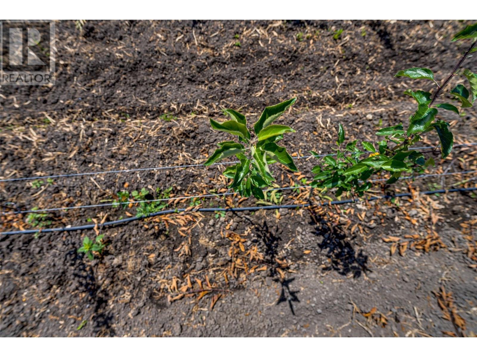 1939 97a Highway. Armstrong, British Columbia