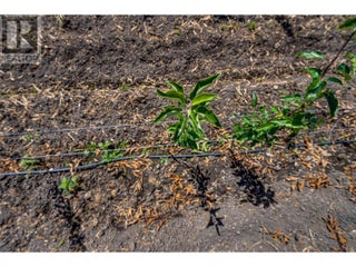 1939 97a Highway. Armstrong, British Columbia