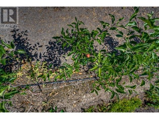 1939 97a Highway. Armstrong, British Columbia