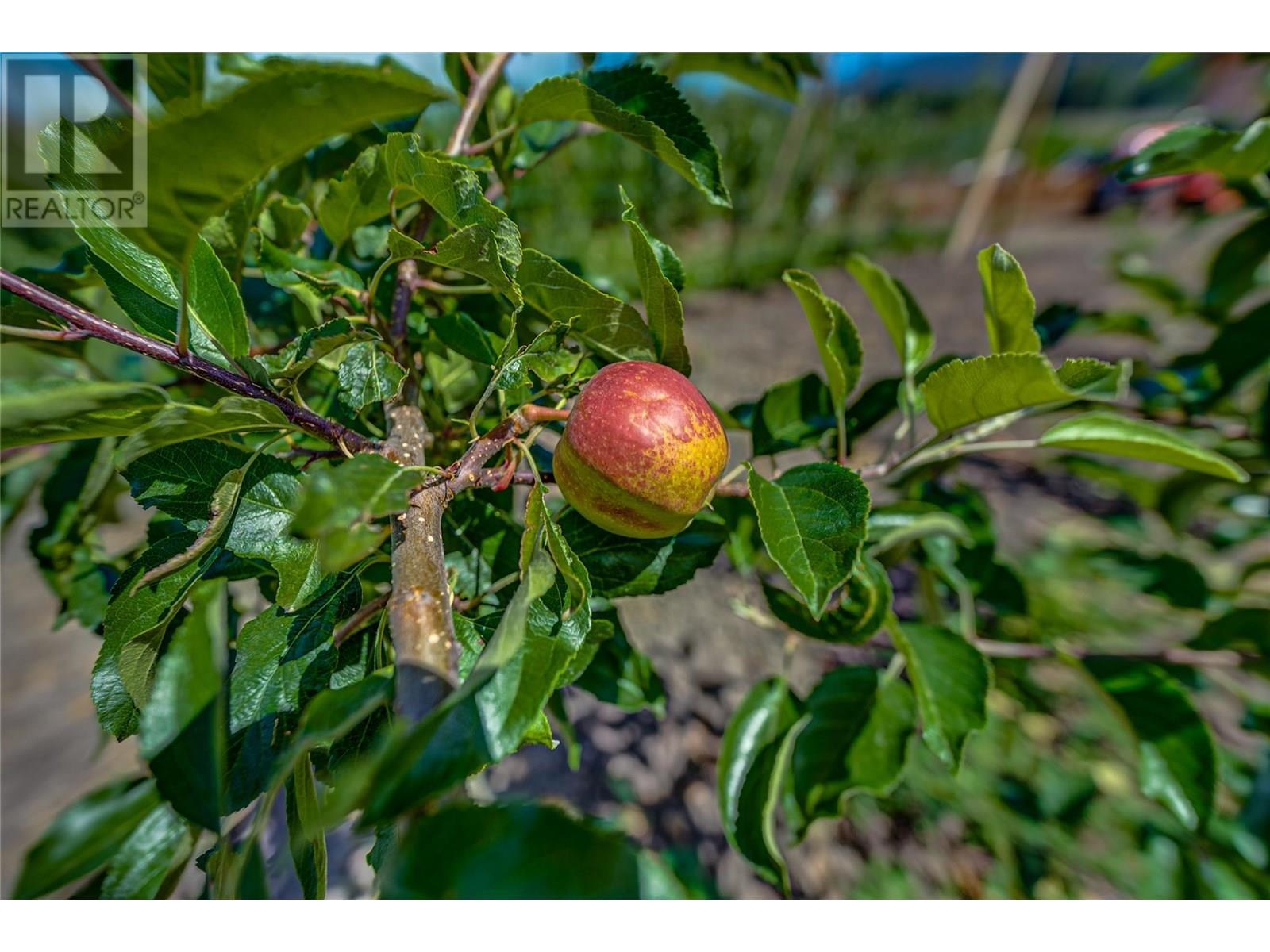 1939 97a Highway. Armstrong, British Columbia