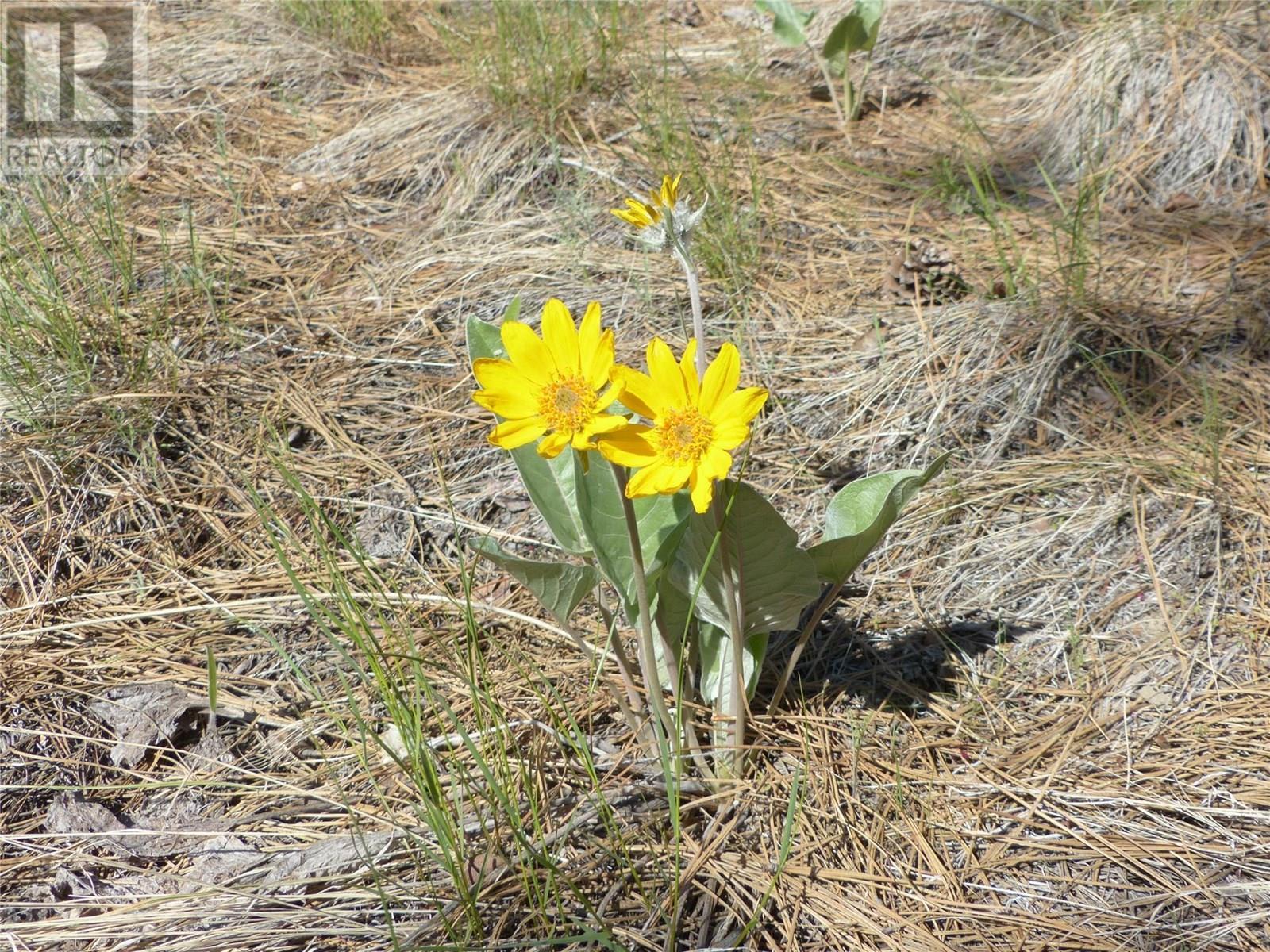 8900 Gilman Road. Summerland, British Columbia