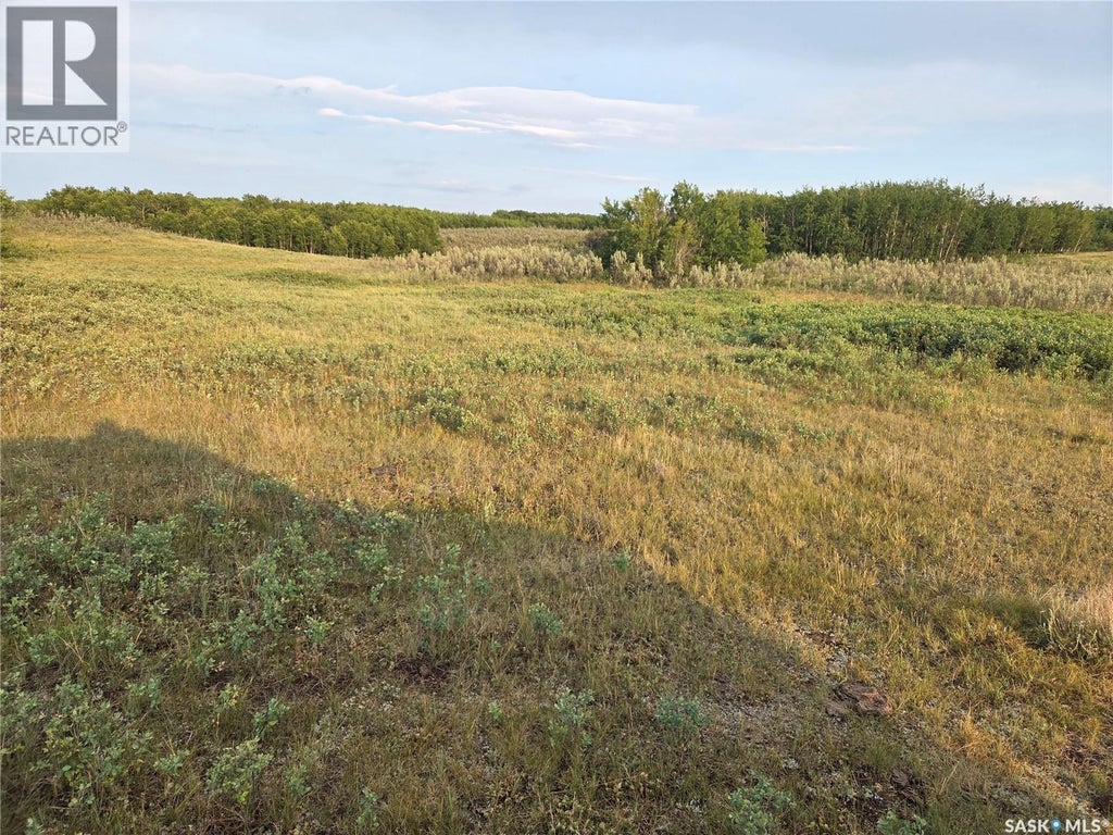 Marln Road Ranch, Parkdale Rm No. 498