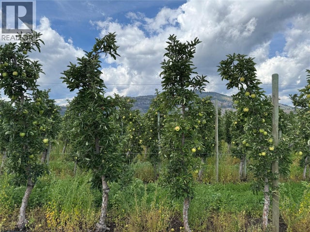 Photo of Listing #10360149