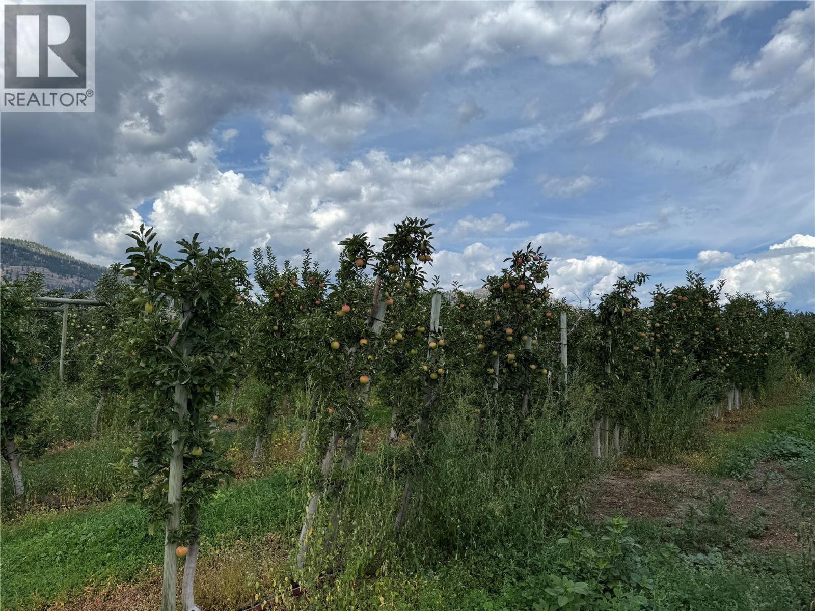 15812 Logie Road. Summerland, British Columbia