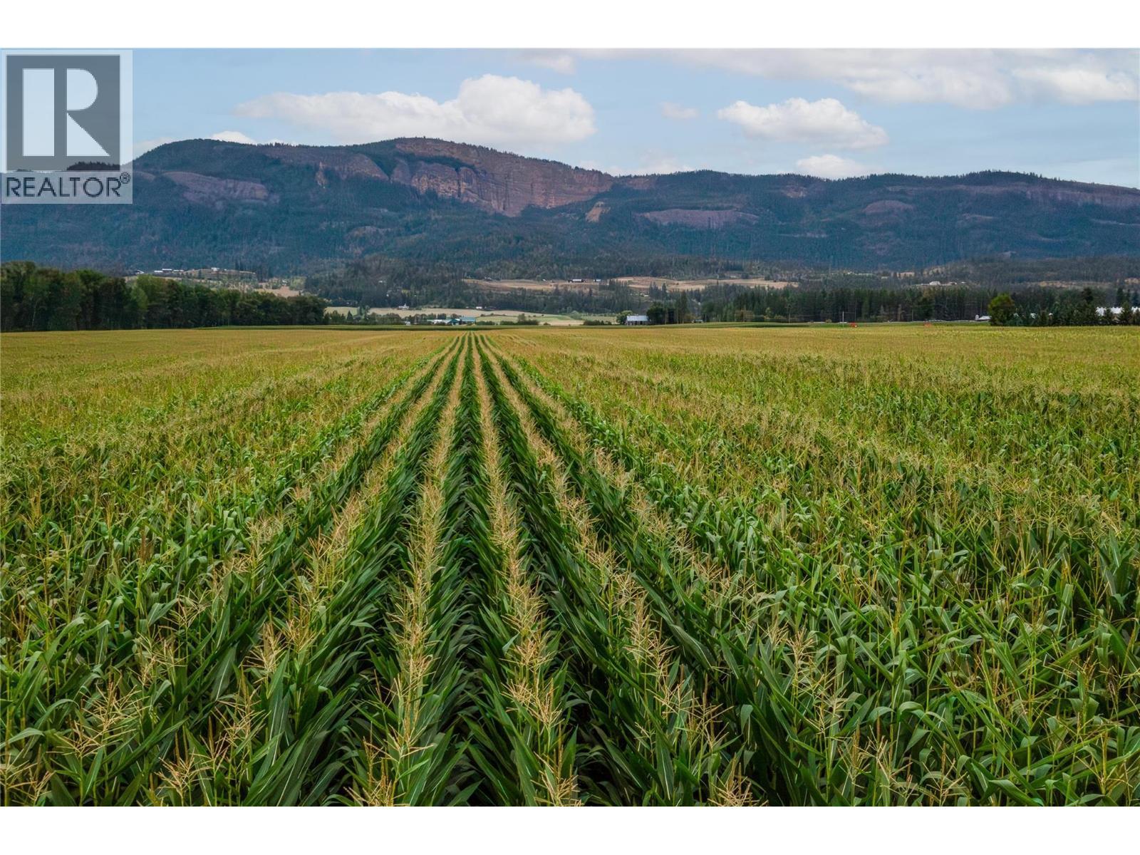 40 Mathews Road. Enderby, British Columbia