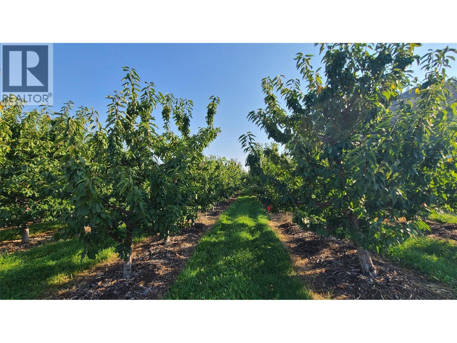 7298 97 Highway. Oliver, British Columbia