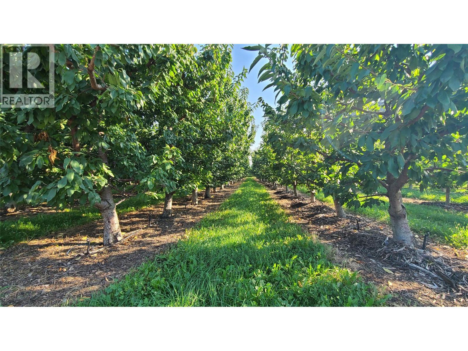 7298 97 Highway. Oliver, British Columbia