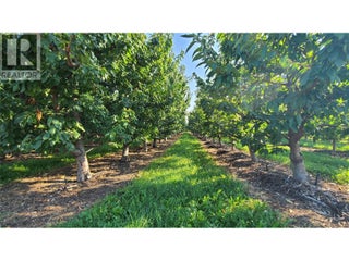 7298 97 Highway. Oliver, British Columbia