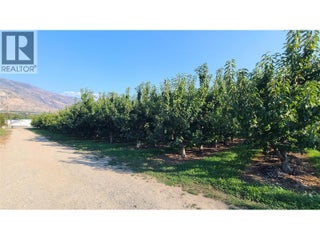 7298 97 Highway. Oliver, British Columbia