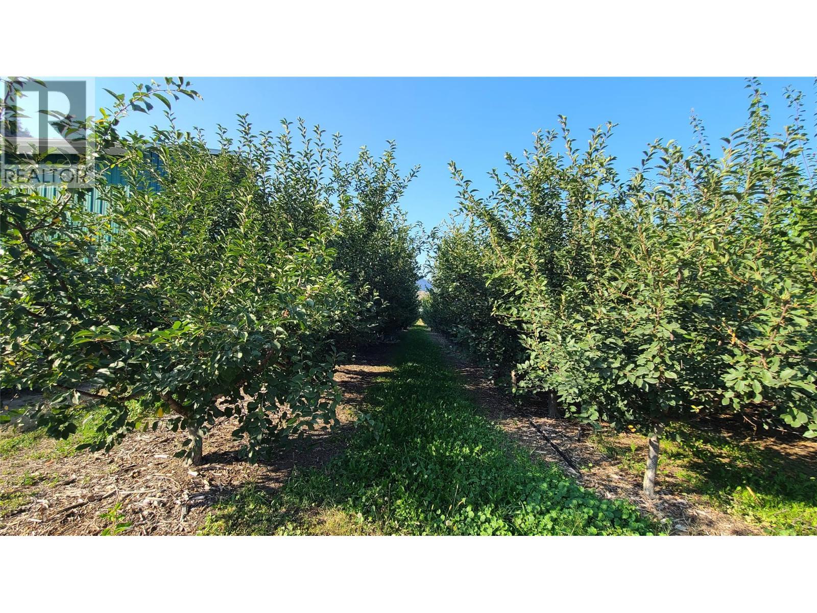 7298 97 Highway. Oliver, British Columbia