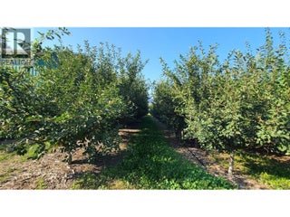 7298 97 Highway. Oliver, British Columbia