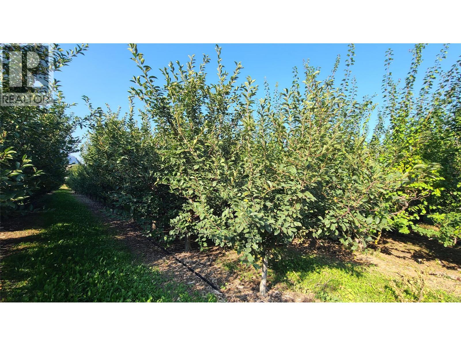 7298 97 Highway. Oliver, British Columbia