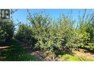 7298 97 Highway. Oliver, British Columbia