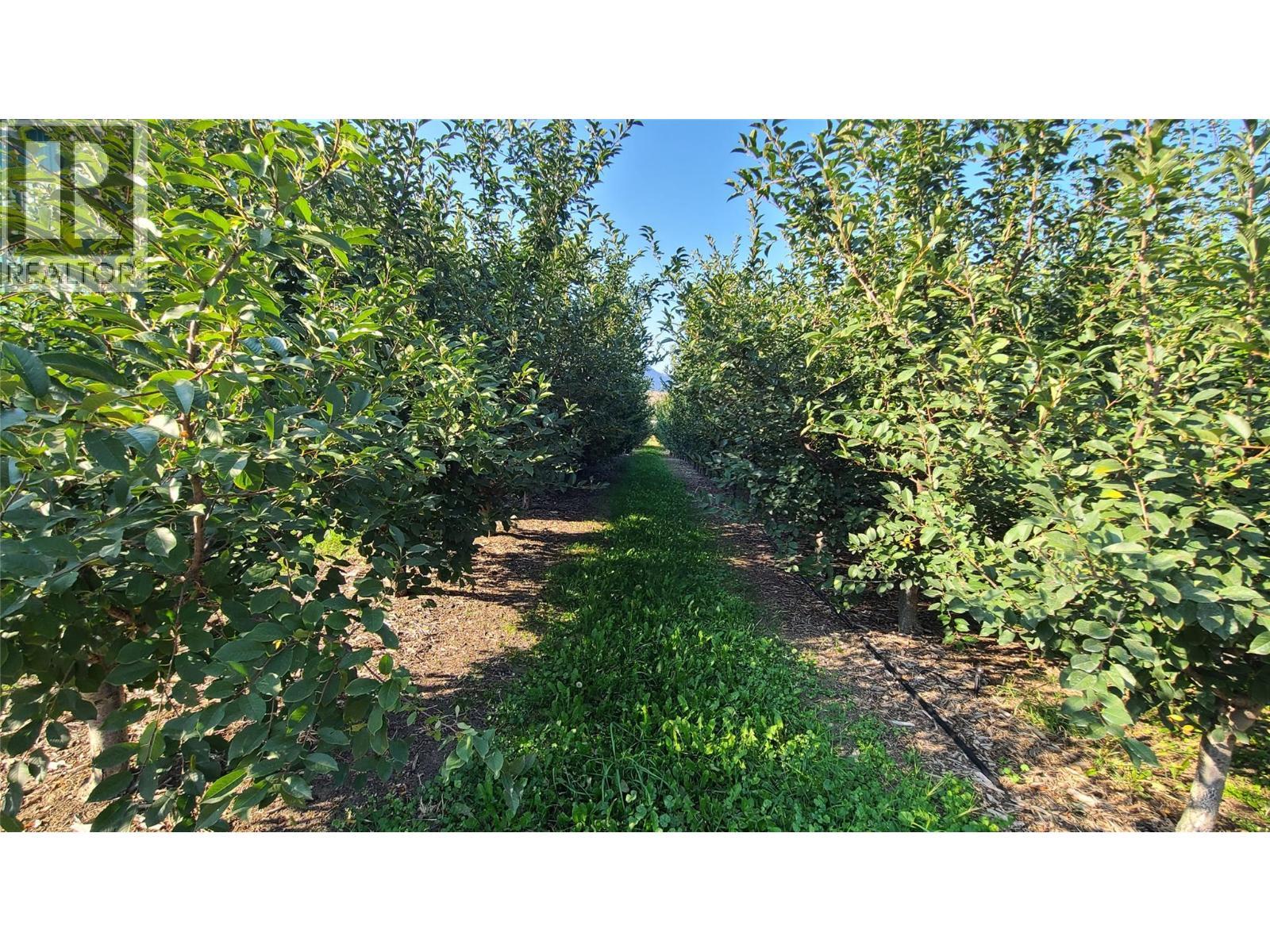 7298 97 Highway. Oliver, British Columbia