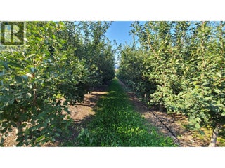 7298 97 Highway. Oliver, British Columbia