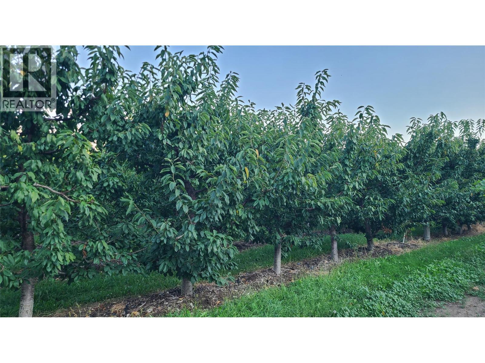 7298 97 Highway. Oliver, British Columbia