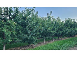 7298 97 Highway. Oliver, British Columbia