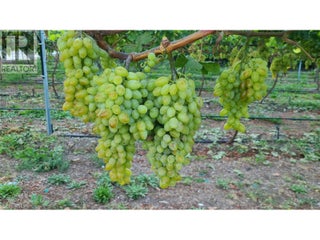 7298 97 Highway. Oliver, British Columbia