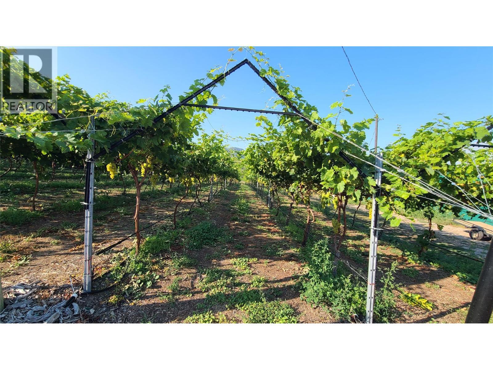 7298 97 Highway. Oliver, British Columbia