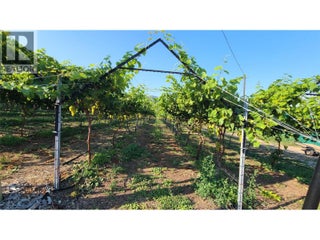 7298 97 Highway. Oliver, British Columbia