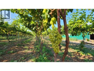 7298 97 Highway. Oliver, British Columbia