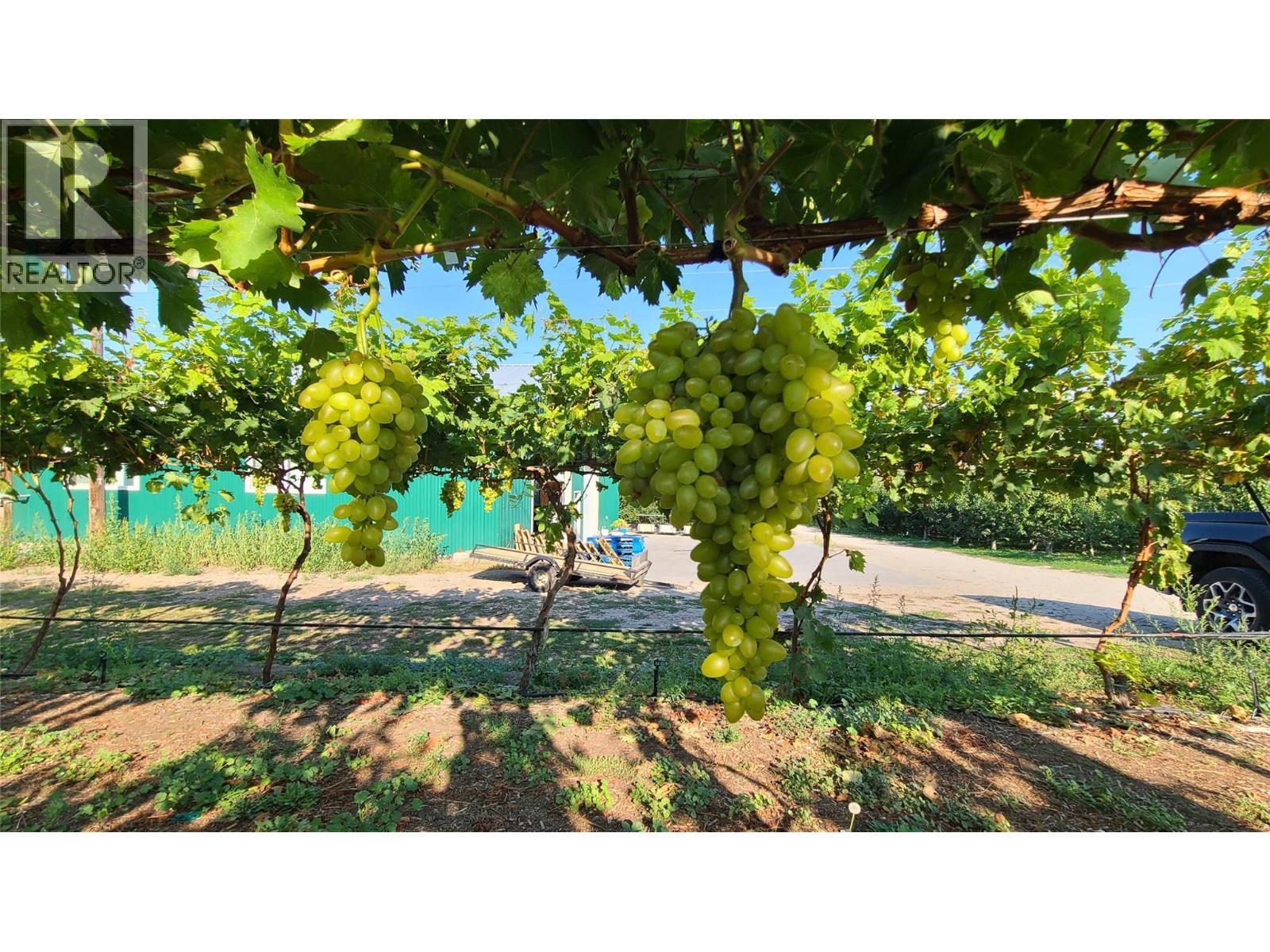 7298 97 Highway. Oliver, British Columbia