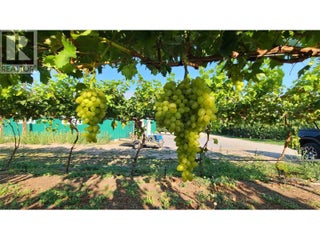 7298 97 Highway. Oliver, British Columbia