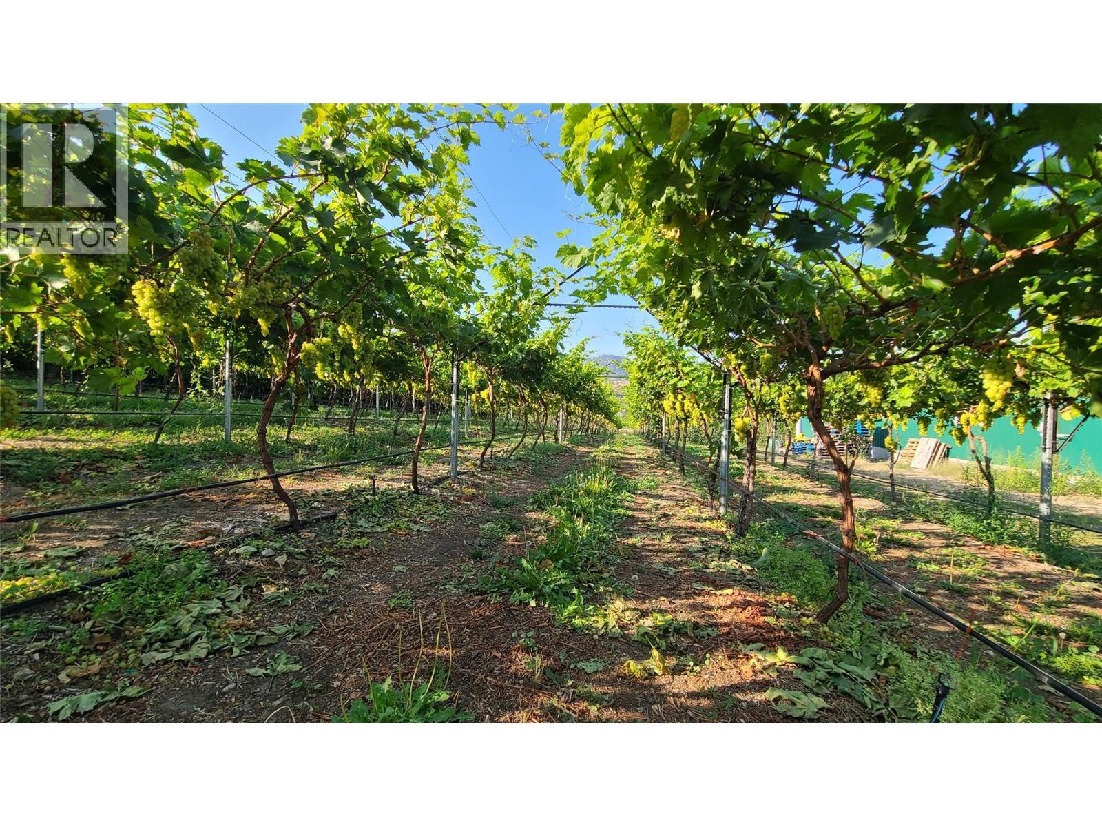 7298 97 Highway. Oliver, British Columbia