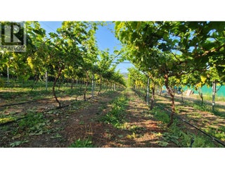 7298 97 Highway. Oliver, British Columbia