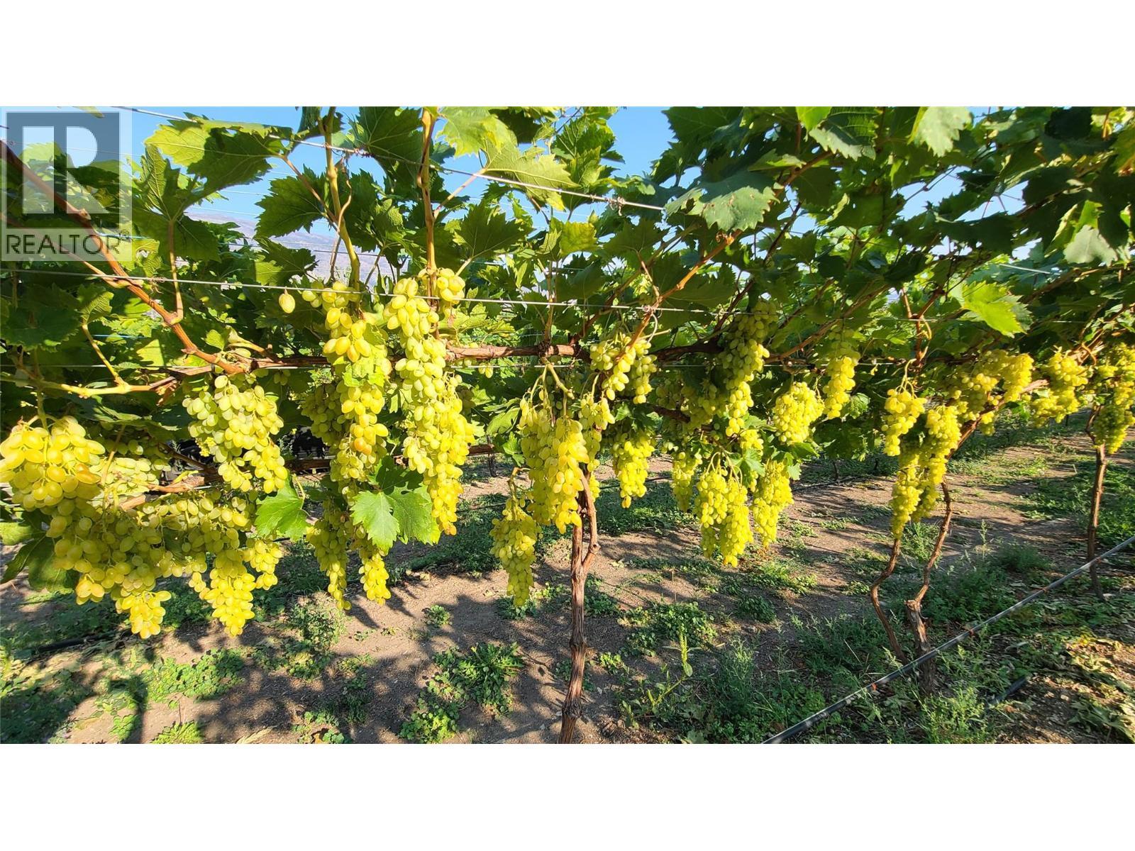 7298 97 Highway. Oliver, British Columbia