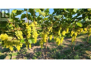 7298 97 Highway. Oliver, British Columbia