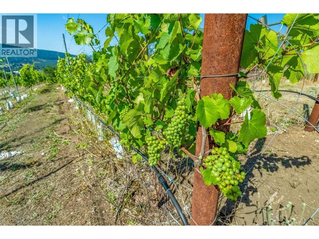 Photo of Listing #10366234