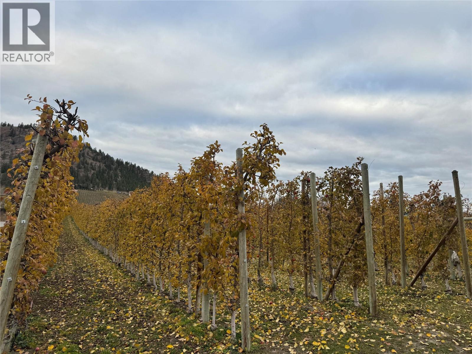 5803 Lewes Avenue. Summerland, British Columbia