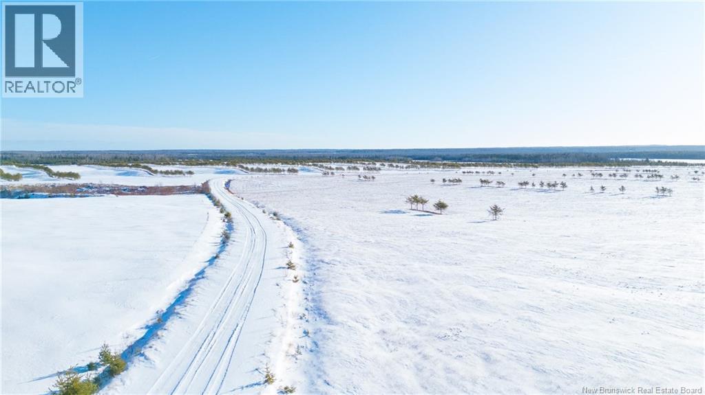 Photo of Listing #NB131445