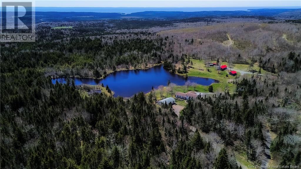 Photo of Listing #NB118330