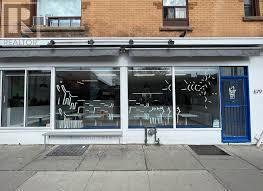 679 Lansdowne Avenue, Toronto (dovercourt-Wallace Emerson-Junction)