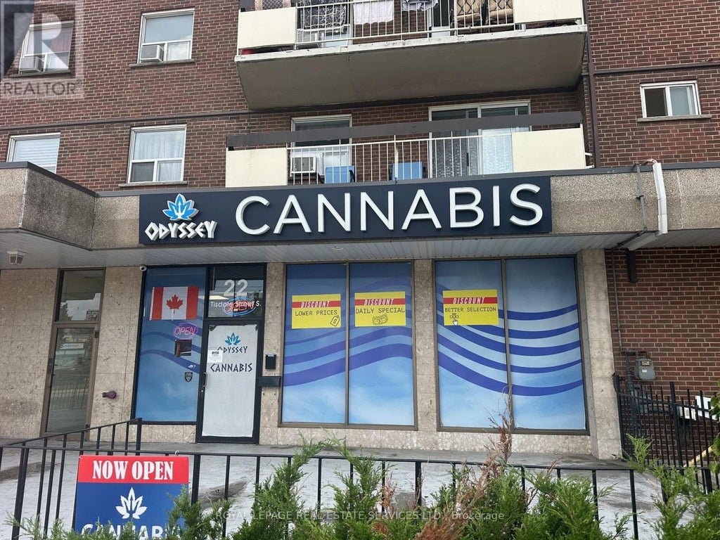 22 Tisdale Street S, Hamilton (landsdale)