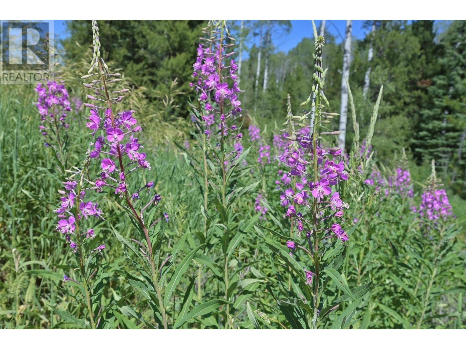 1000 Halfway Lake Road. Princeton, British Columbia