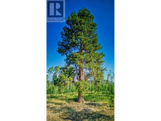 1000 Halfway Lake Road. Princeton, British Columbia