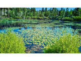 1000 Halfway Lake Road. Princeton, British Columbia