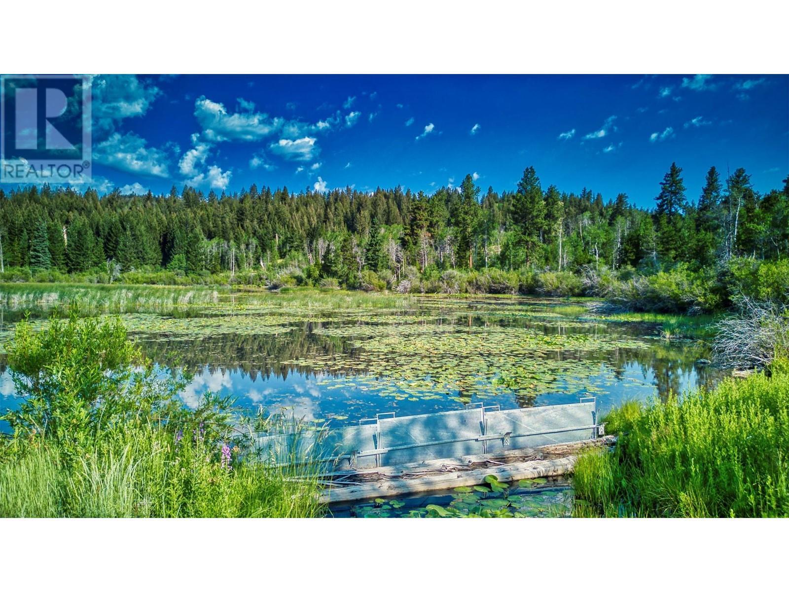 1000 Halfway Lake Road. Princeton, British Columbia