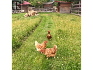 2190 30 Street Ne. Salmon Arm, British Columbia