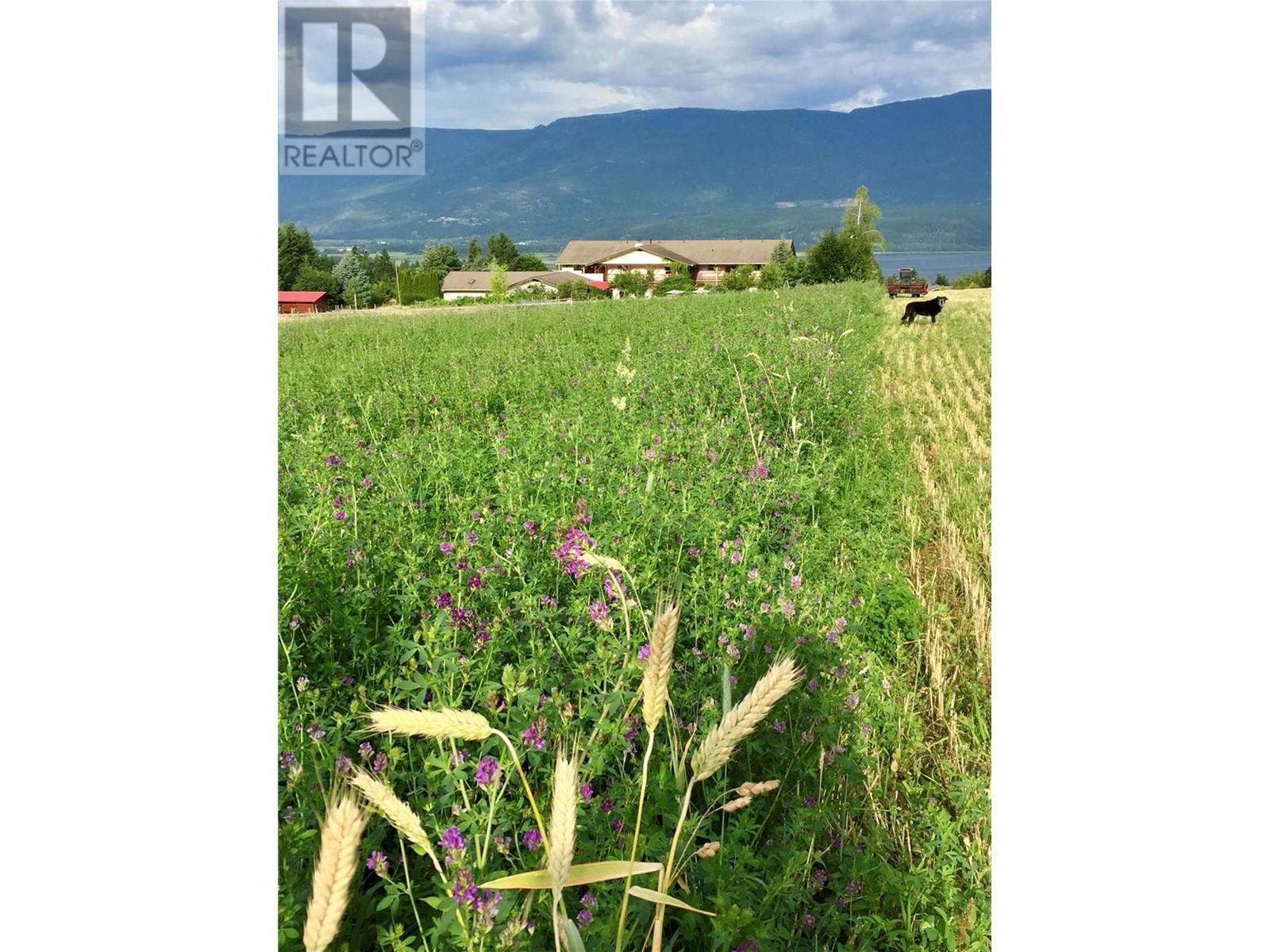 2190 30 Street Ne. Salmon Arm, British Columbia