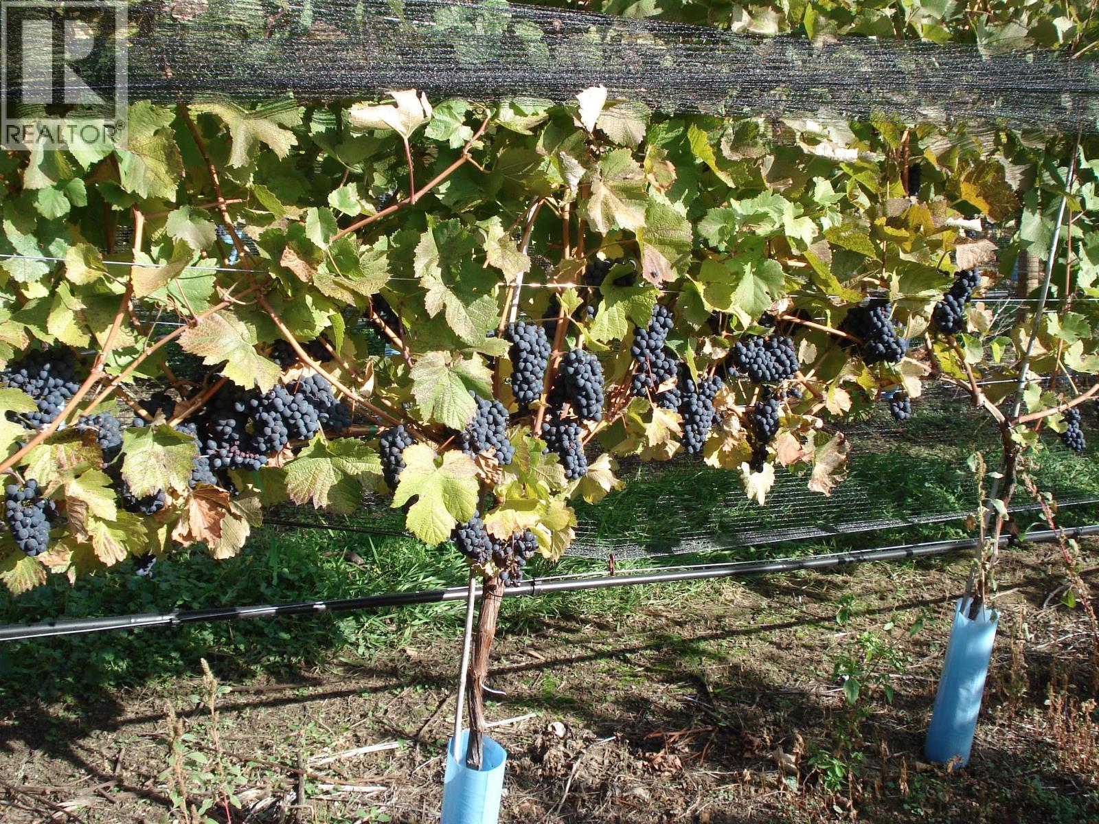 5214 Monro Avenue. Summerland, British Columbia