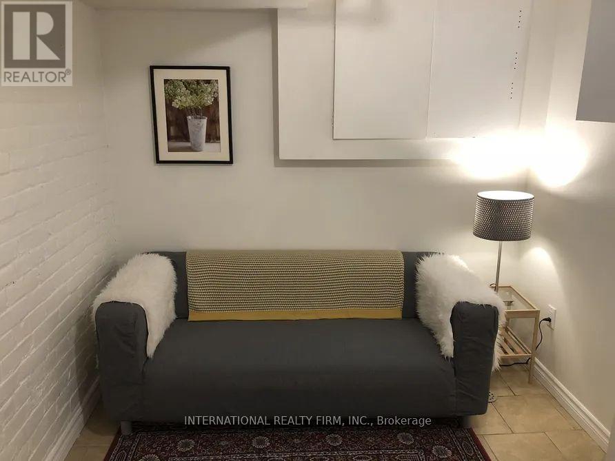 Basement - 201 Madison Avenue, Toronto (annex)