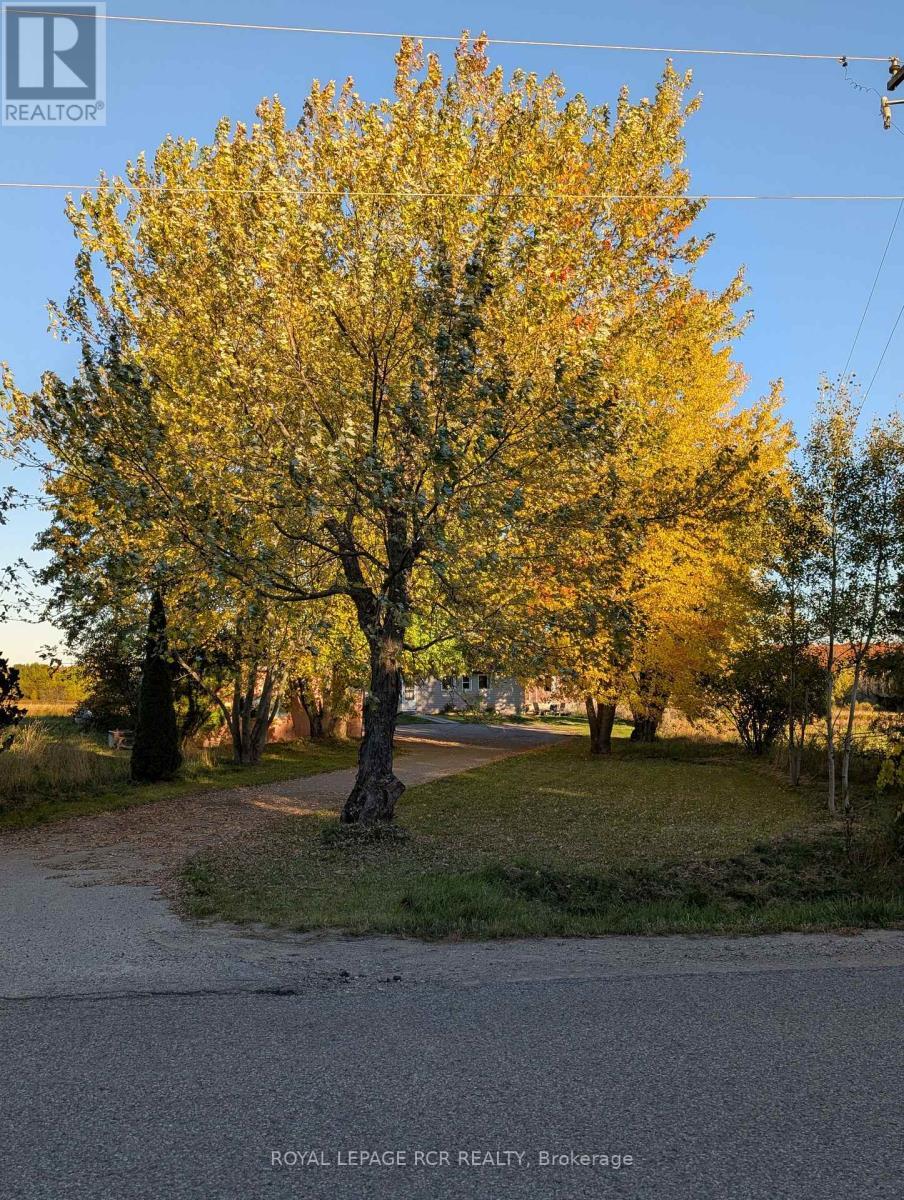 A - 554177 Mono-amaranth Townline S, Mono