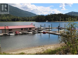 1142 Seymour Arm Bay Road Road. Seymour Arm, British Columbia