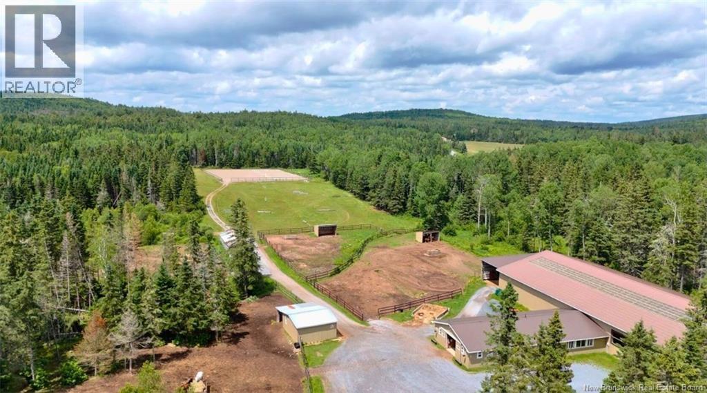 Photo of Listing #NB133754