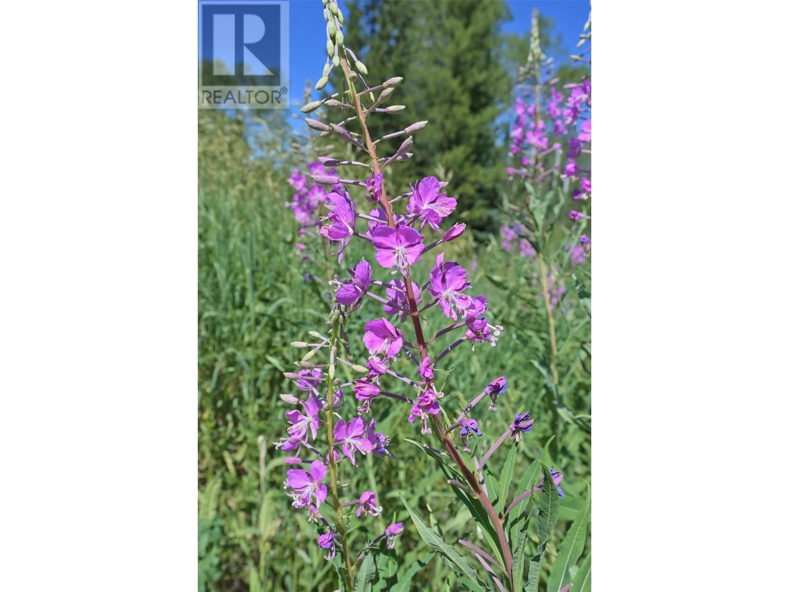 1000 Halfway Lake Road. Princeton, British Columbia