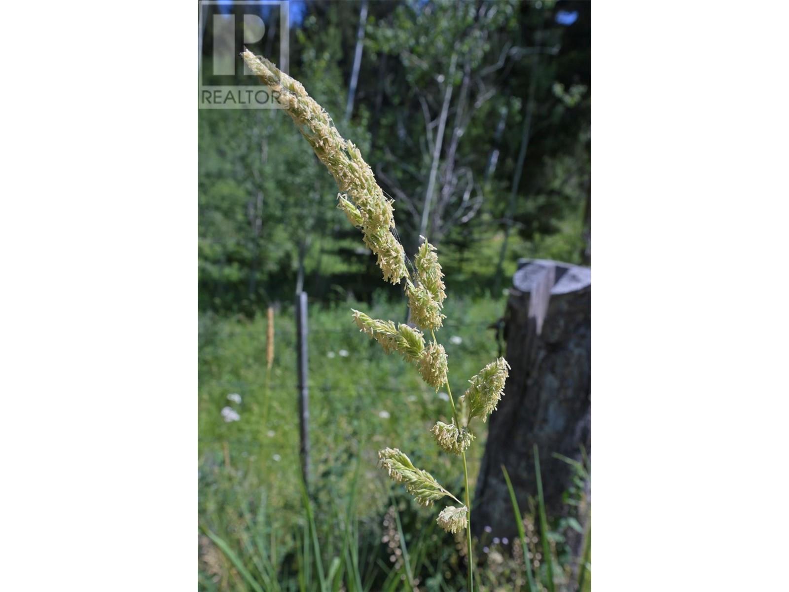 1000 Halfway Lake Road. Princeton, British Columbia